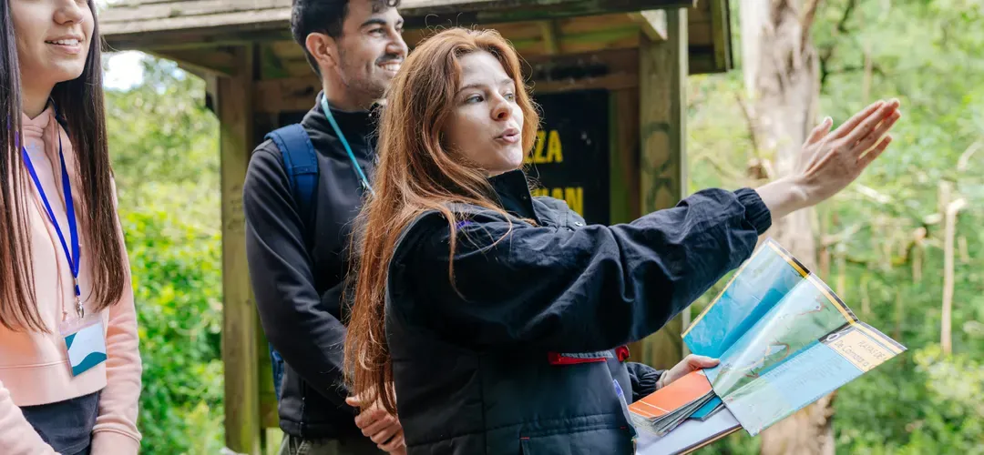 📋 Comprehensive Cursor Rules Best Practices Guide