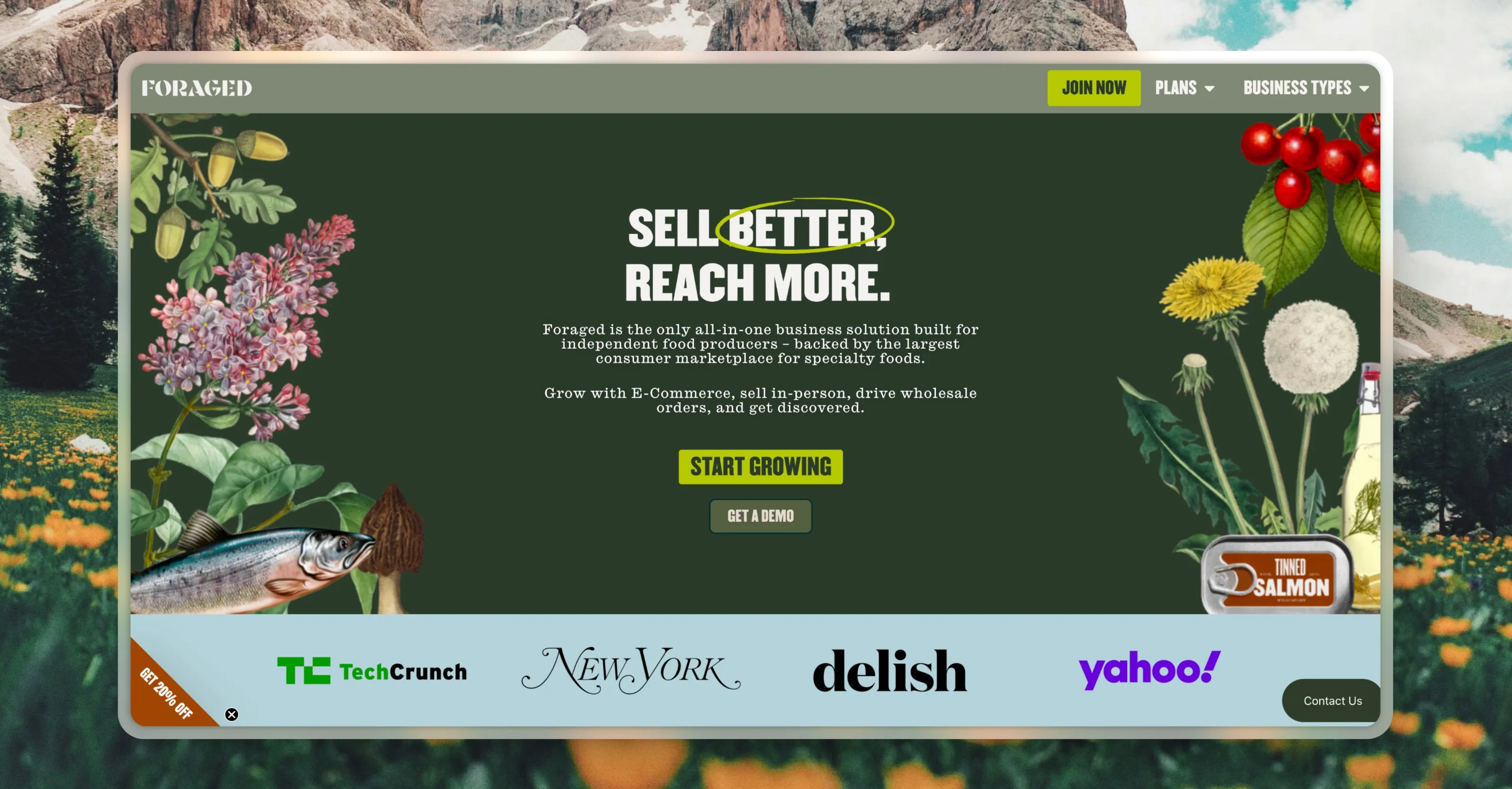 Foraged become a seller landing page with illustrated natural ingredients and call to action.